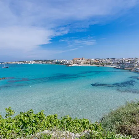 Villa Arca - Rivedelsalento